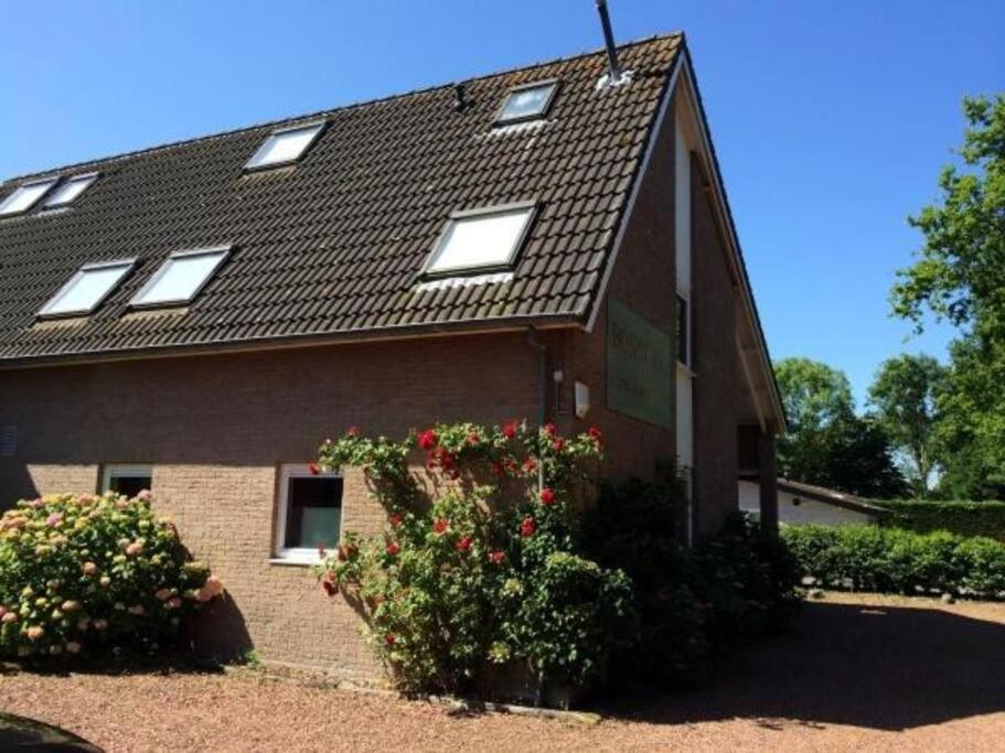 Boszicht 3 Appartement In Oostkapelle Kültér fotó