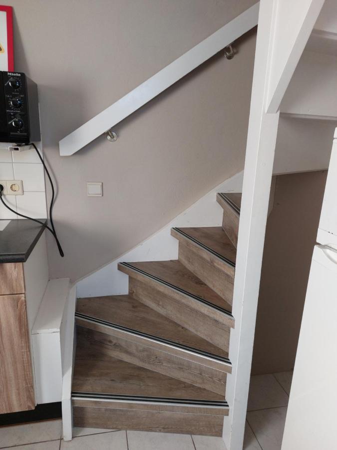 Boszicht 3 Appartement In Oostkapelle Kültér fotó